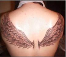 Big bird wings in the back.JPG