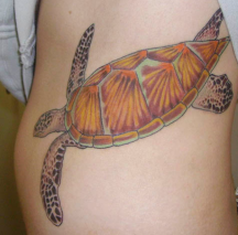 Giant turtle tattoo photo.PNG