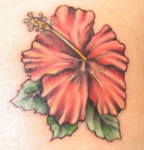 Picture of red tropical hawaiian flower.PNG