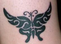 Black butterfly photos.PNG