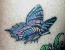 Images of Blue butterfly with black lines.PNG