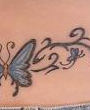 Blue butterfly