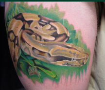 Big snake tattoo photo.PNG