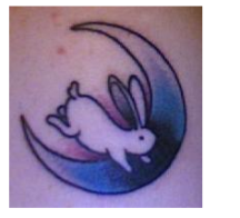 Moon tattoo with white rabbit picture.PNG