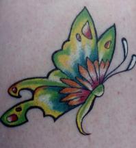 Green and orange butterfly