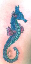 Seahorse tattoo