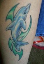 dolphin tattoo pic