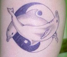 dolphin flash tattoo