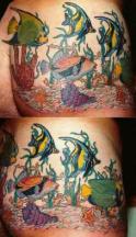 Colorful fish tattoo