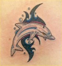 dolphin tattoo photo