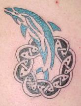celtic dolphin tattoo