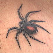 Scary spider tattoo