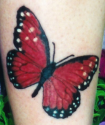 Butterfly tattoos