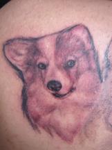 Tattoo of a collie dog.jpg