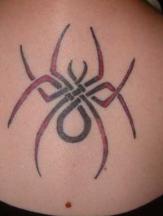 Tribal spider tattoo