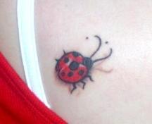 Small Ladybug tattoo