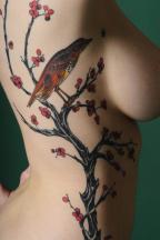 bird tattoo.jpg
