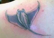 picture of fish tattoo.jpg
