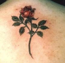 beautiful red rose tattoo