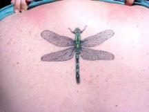 upper back tattoo picture.jpg