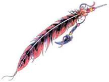 picture of native feather tattoo.jpg